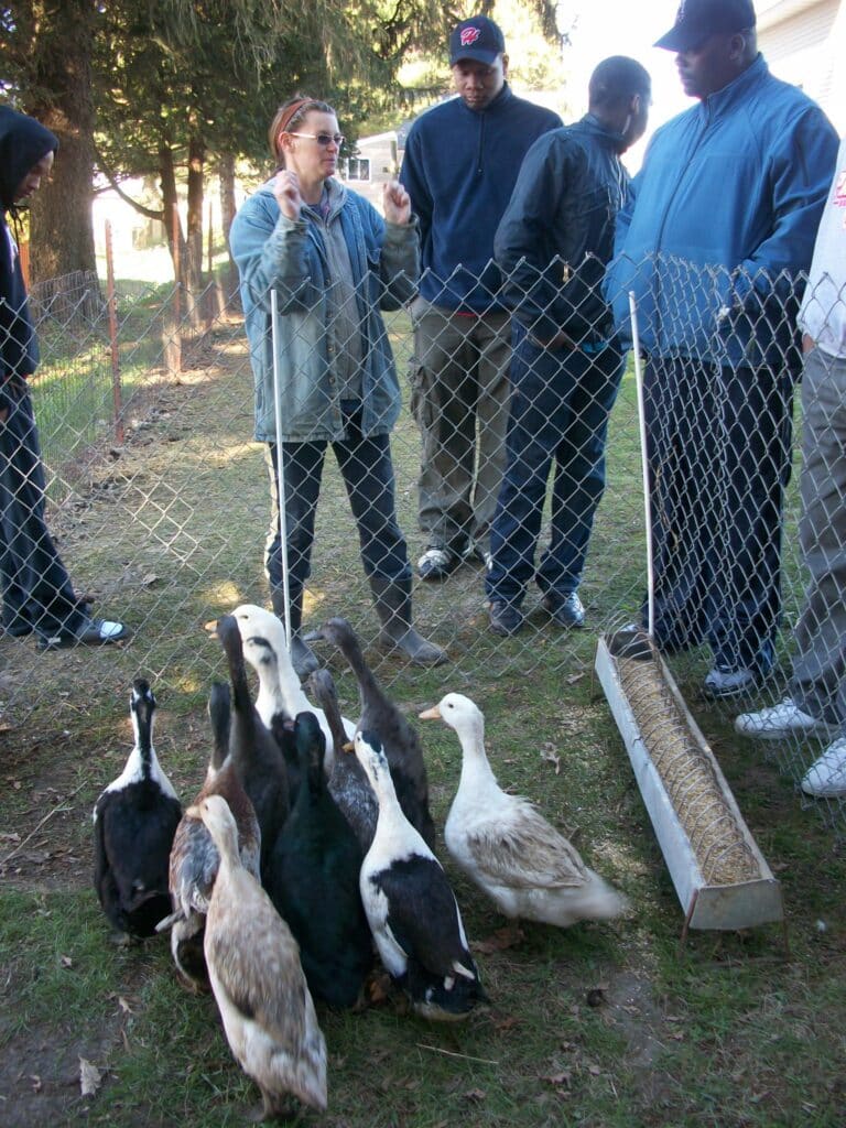 adventures in the Spirit, part 4