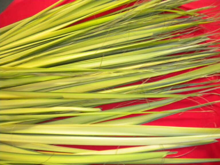 Blessed by our brokenness