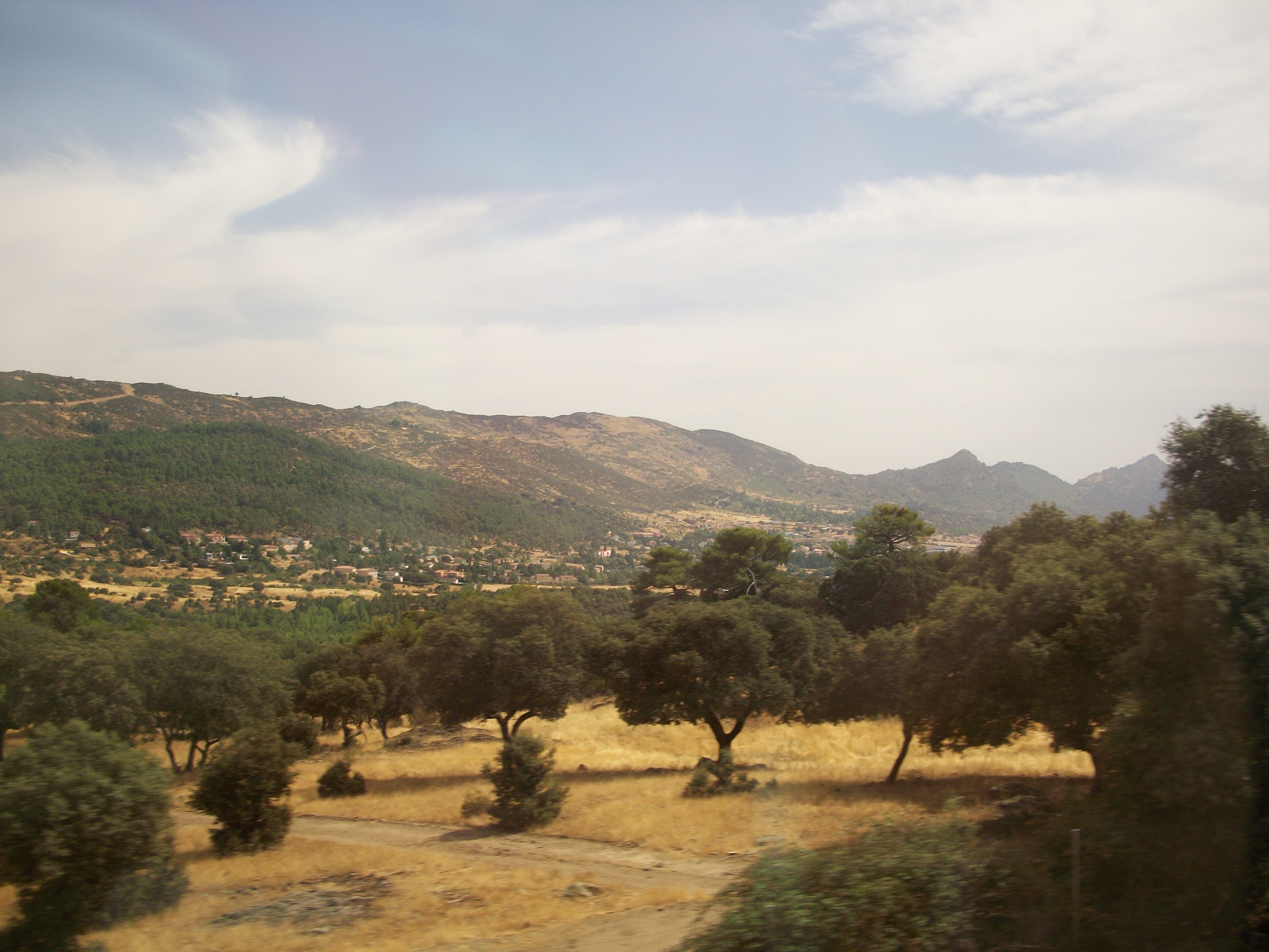 The view is pretty good with Jesus.  Photo by Julia Walsh FSPA