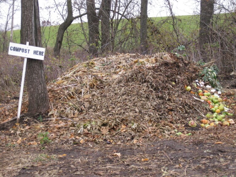 Becoming a new fruit and fertilizer