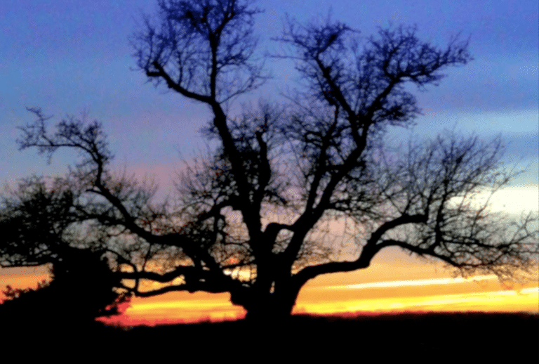 Being a beautiful mess