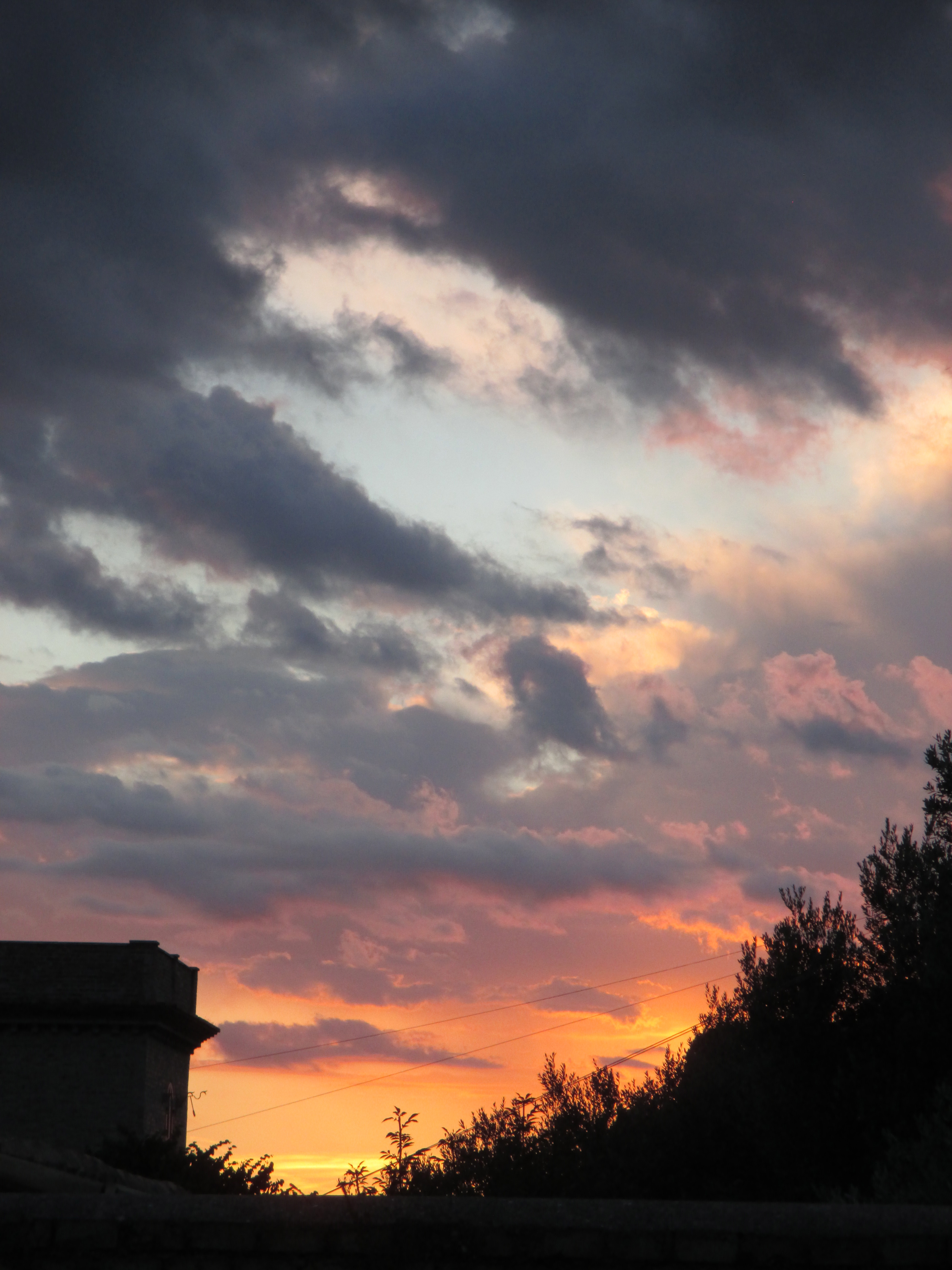 "the wonder of color" photo by Julia Walsh FSPA