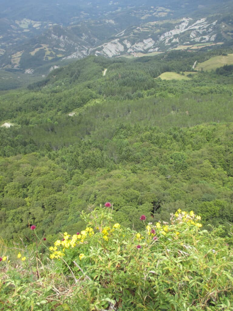 The process of lightening up my living