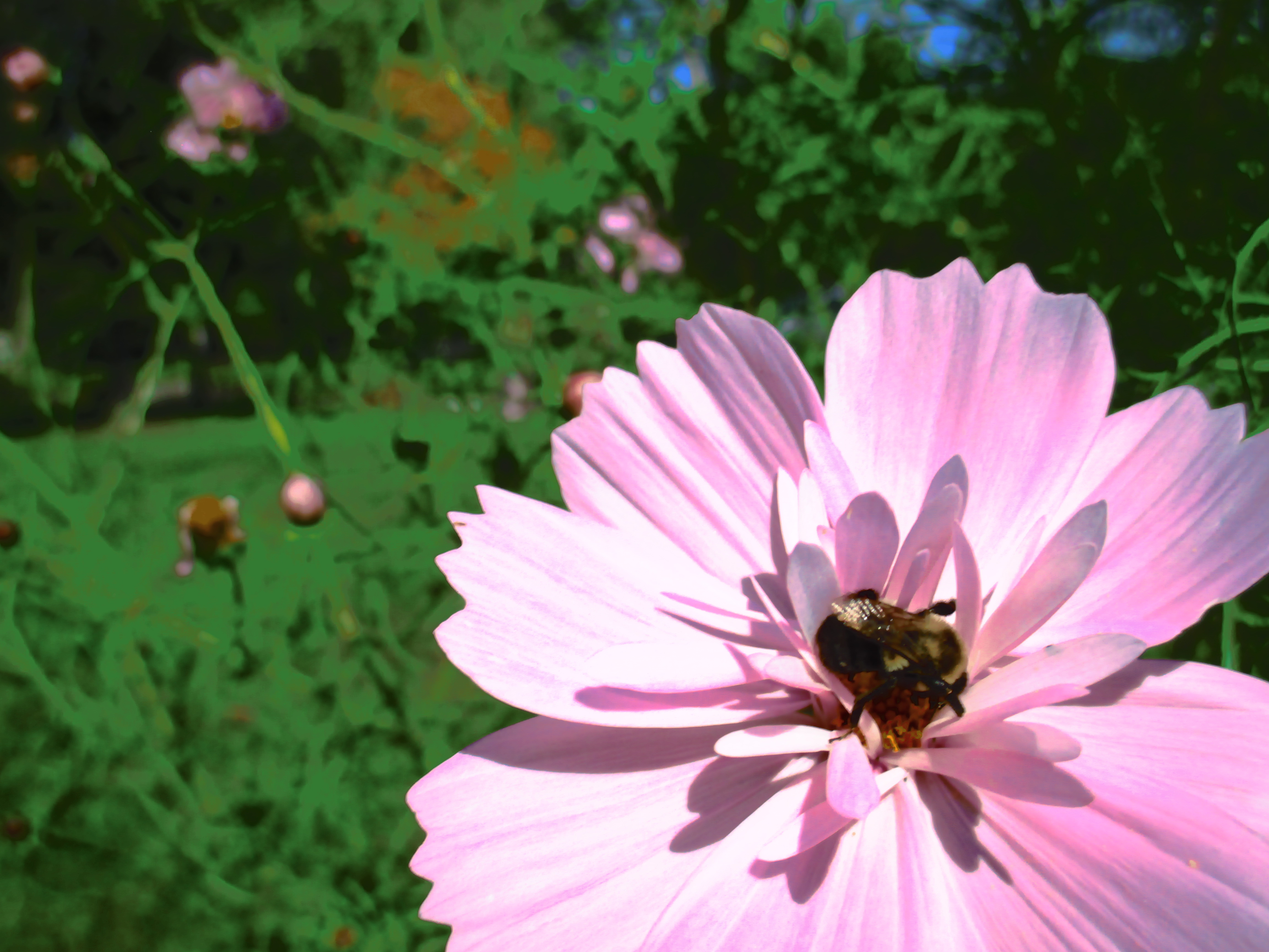 Photo by Julia Walsh FSPA