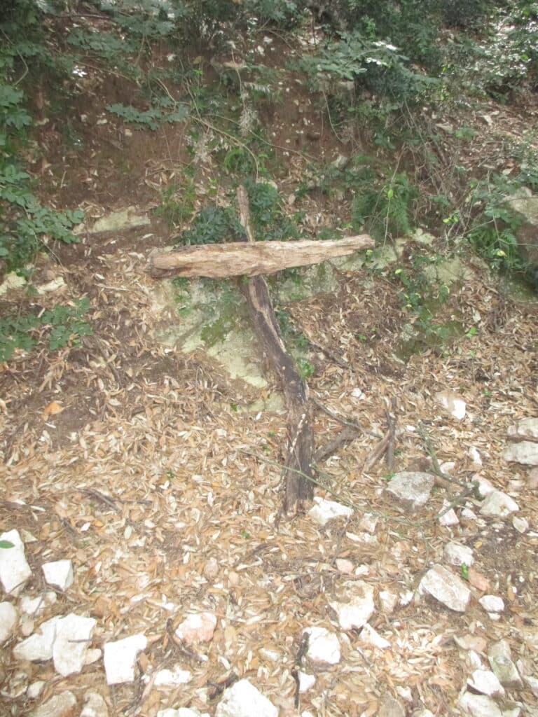 Anticipation and Ashes