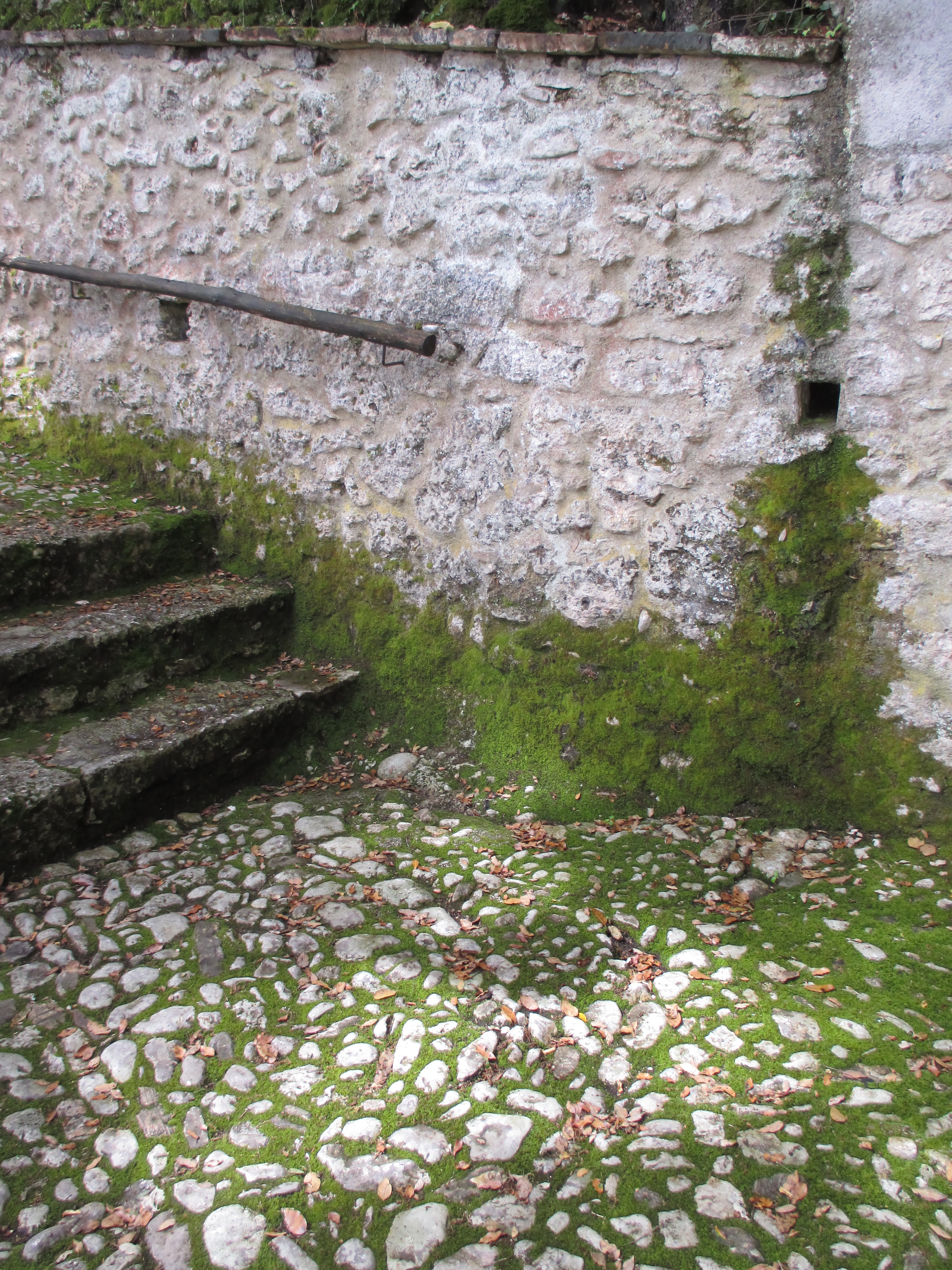 "ancient steps" photo by Julia Walsh FSPA