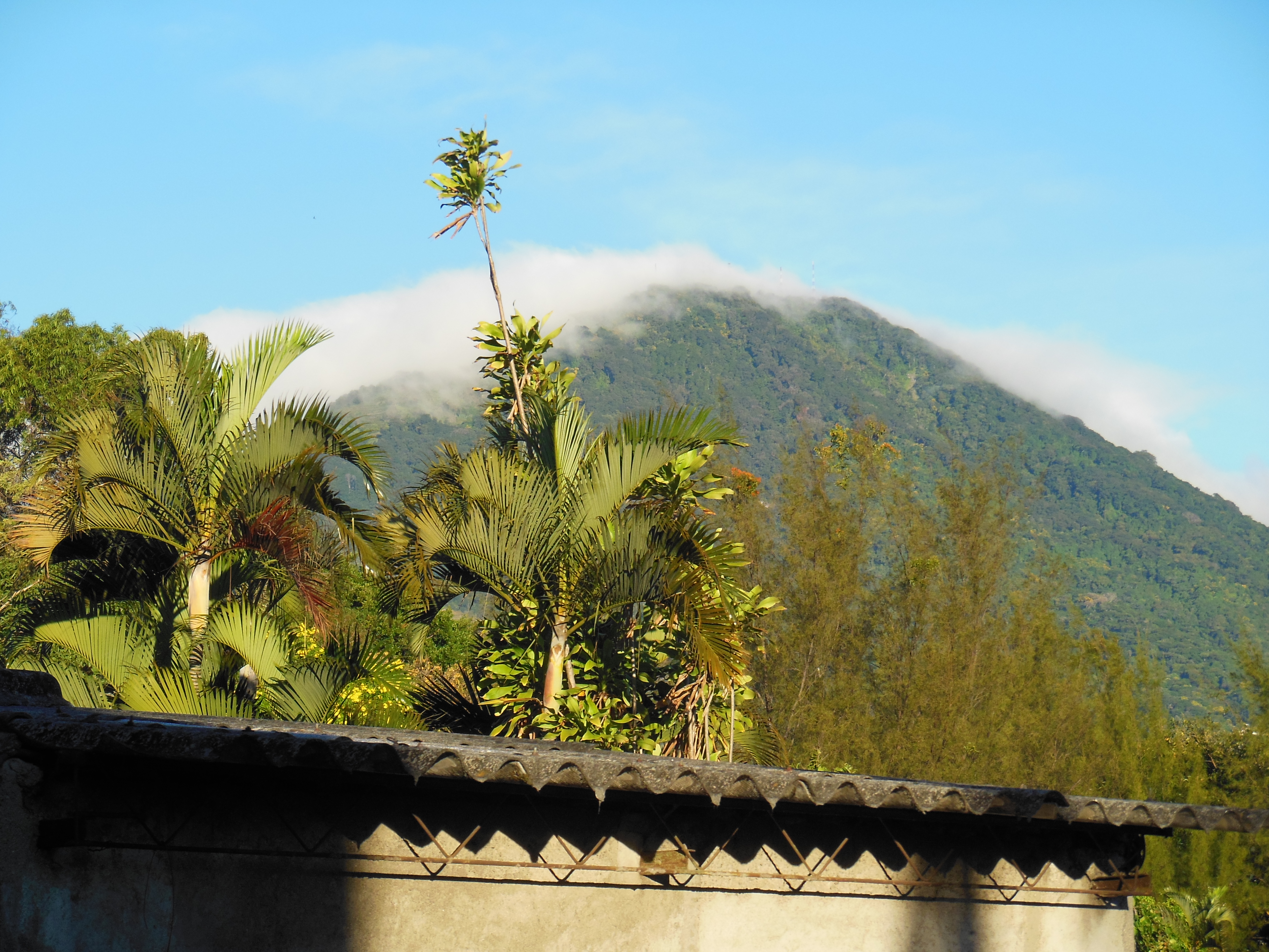 El Salvador by Nina Shephard, FSPA