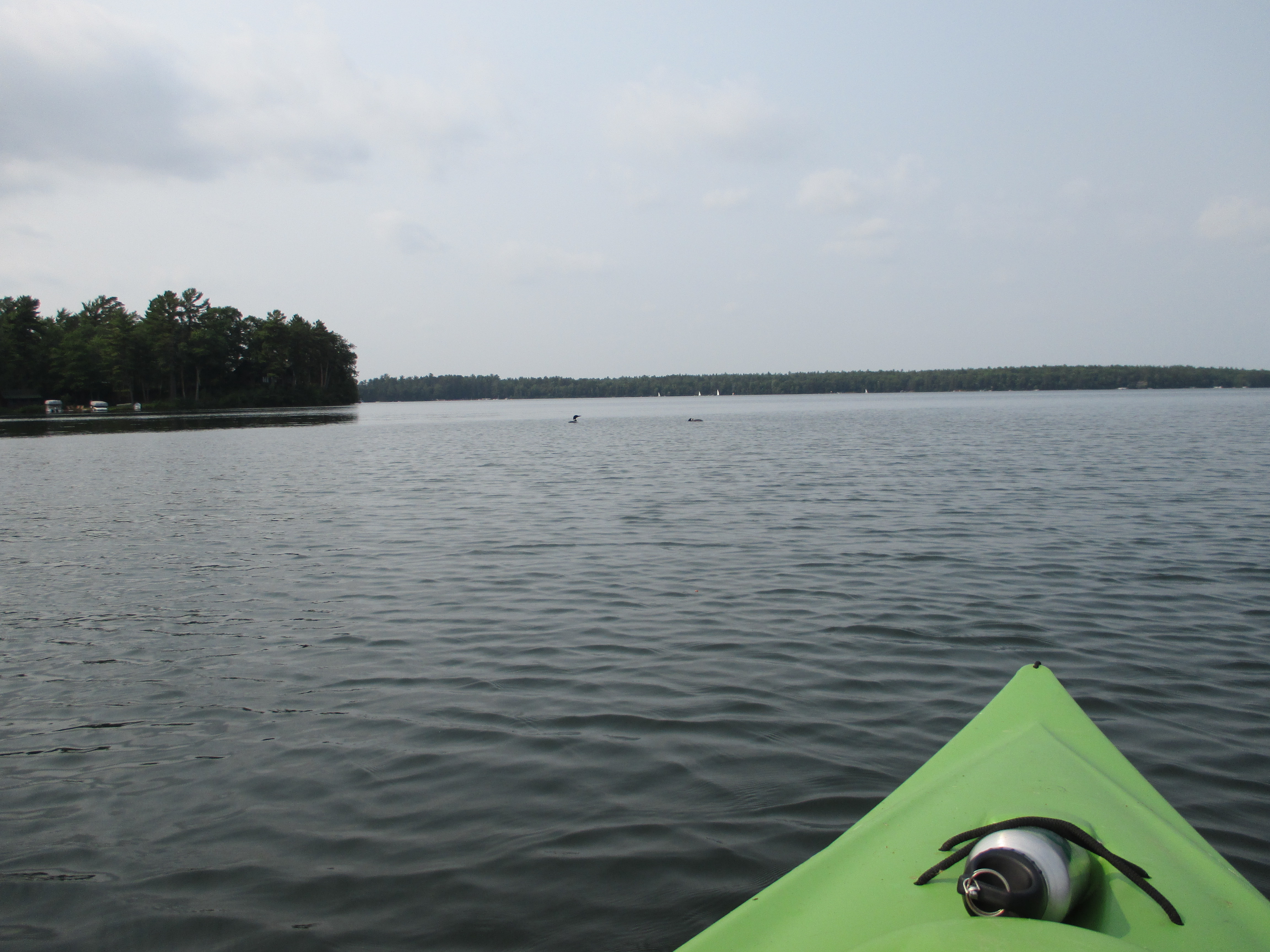 "Rowing on Trout Lake" photo by Julia Walsh FSPA