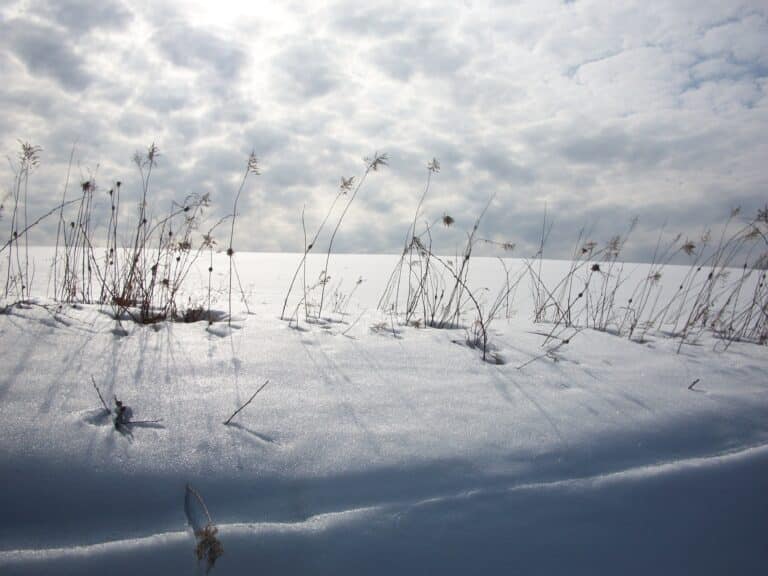 Into the darkness: awkward yet unafraid