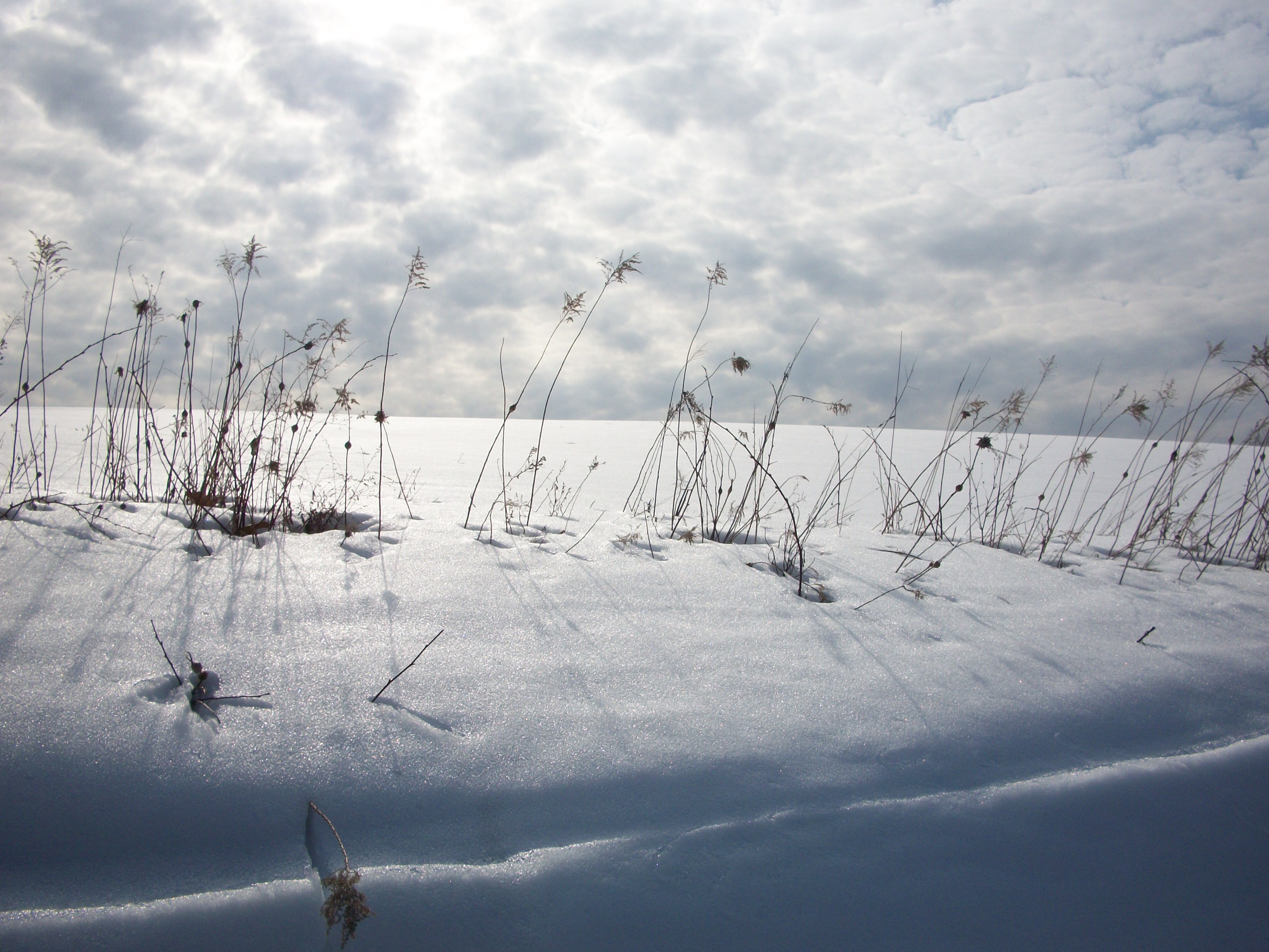 Photo by Julia Walsh FSPA