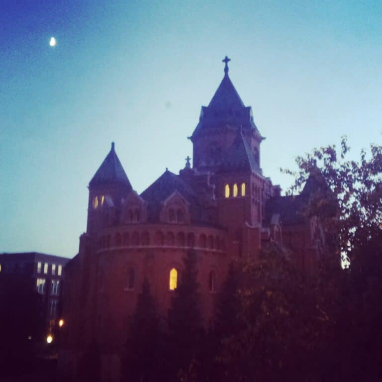 For the Love of Earth