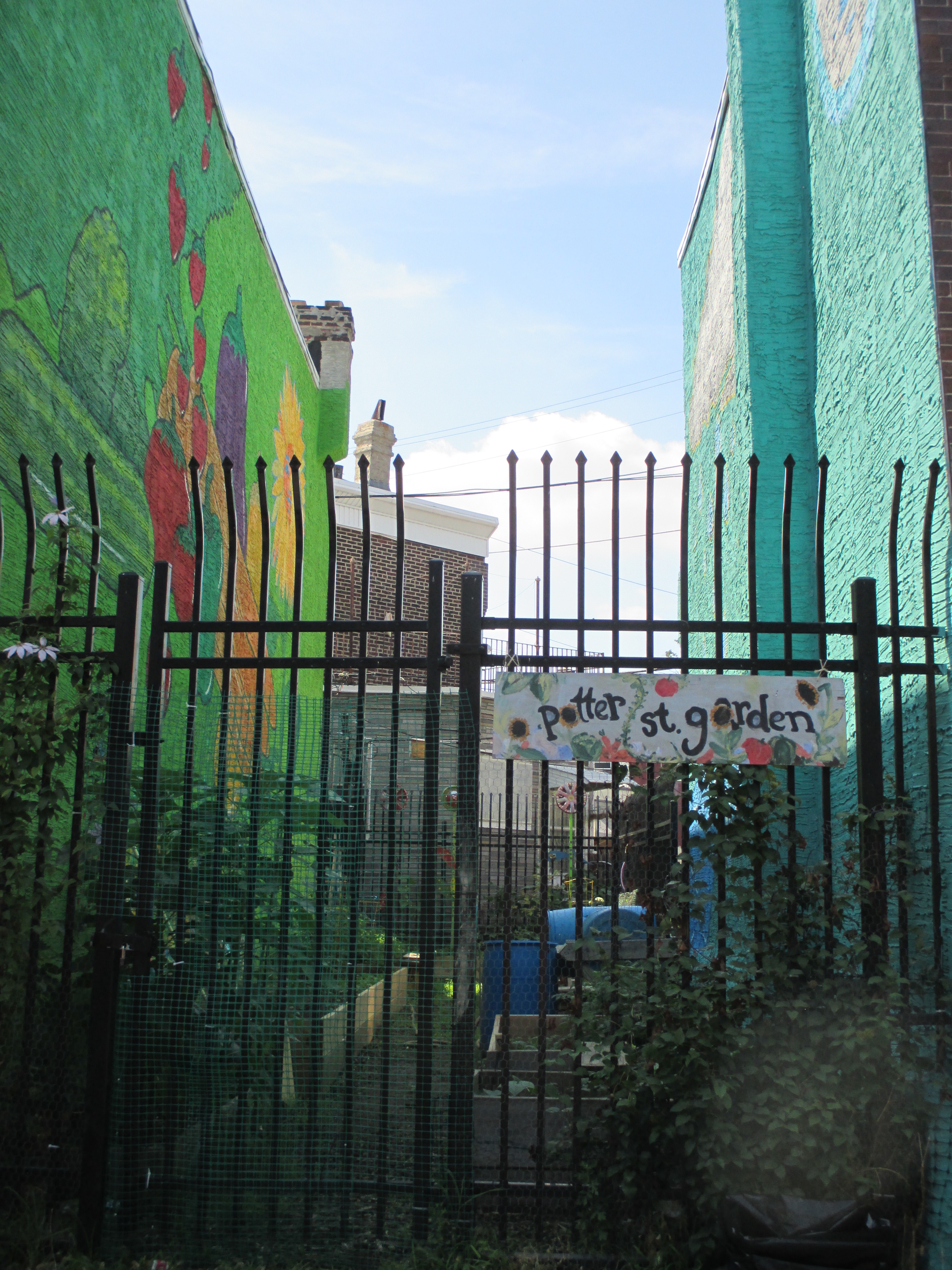 photo by Julia Walsh FSPA