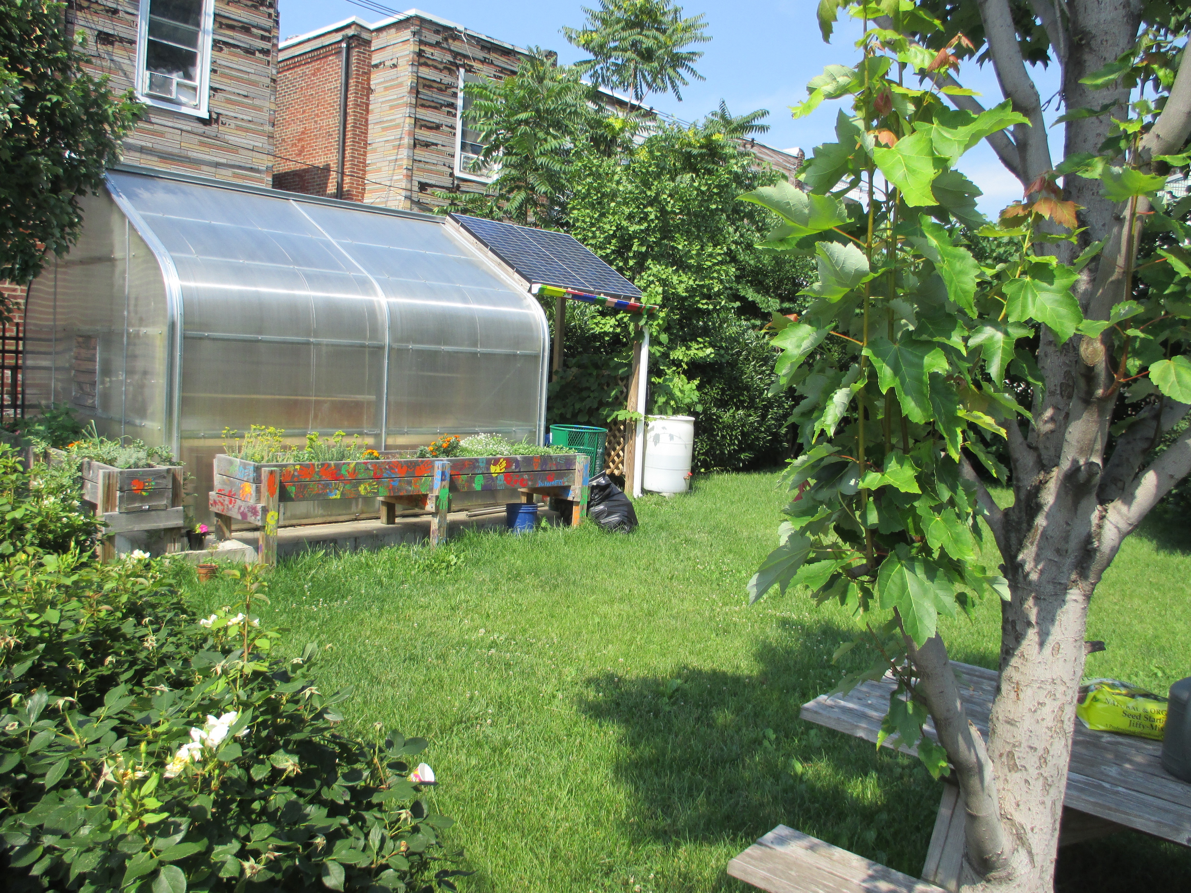 photo by Julia Walsh FSPA