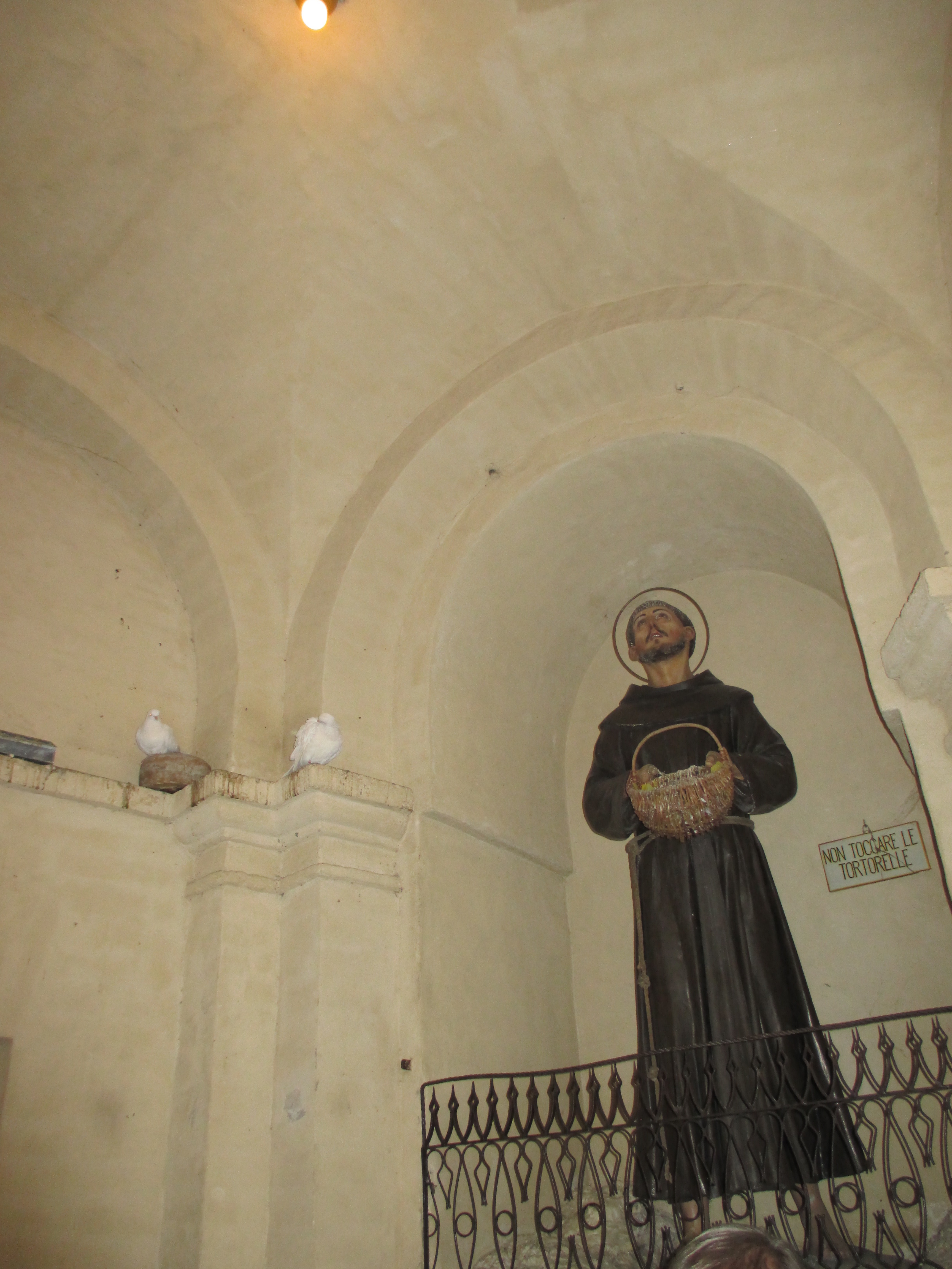 St. Francis and the Peace doves (1). Photo by Julia Walsh FSPA