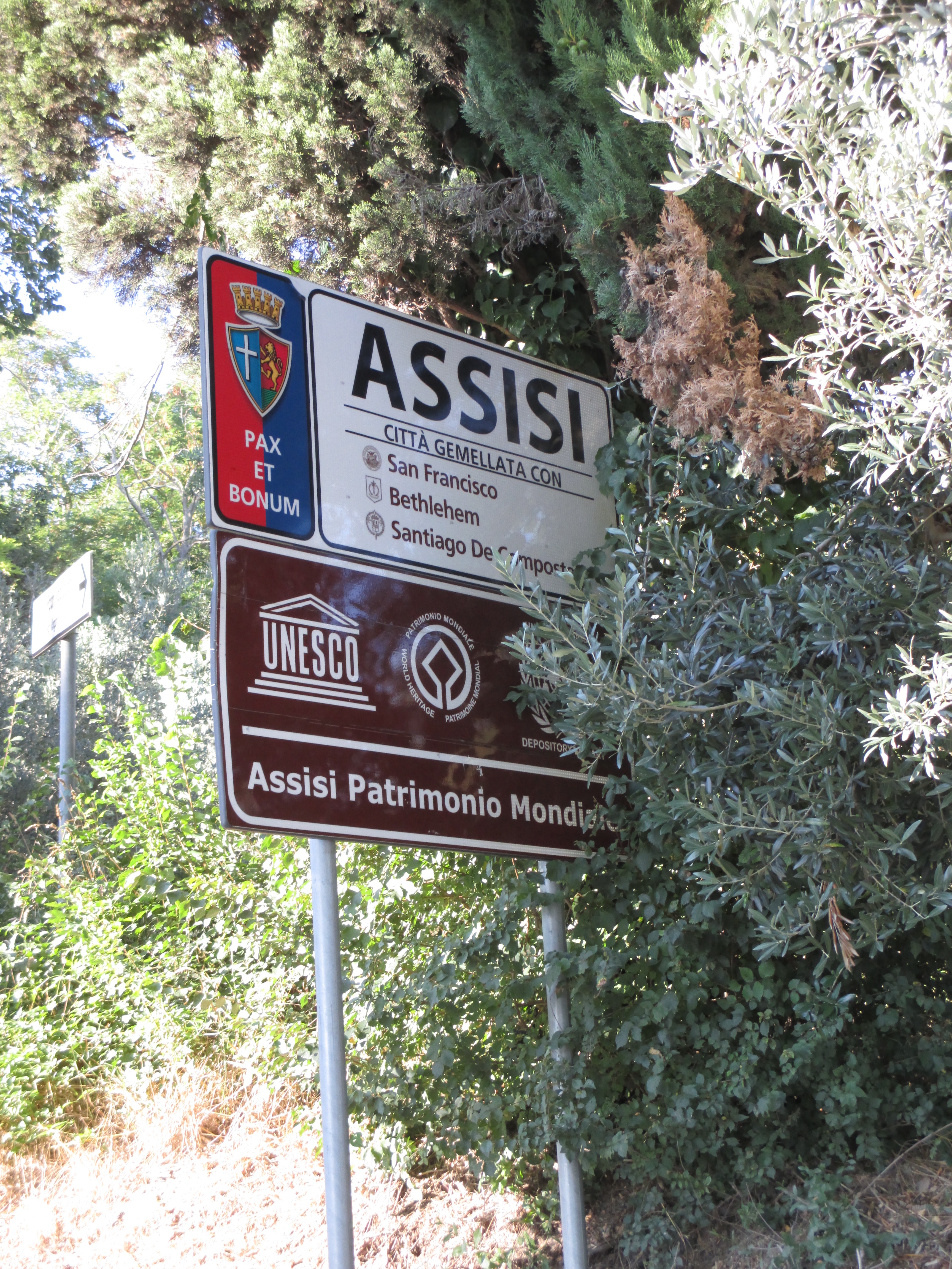 Assisi City of Peace. Photo by Julia Walsh FSPA