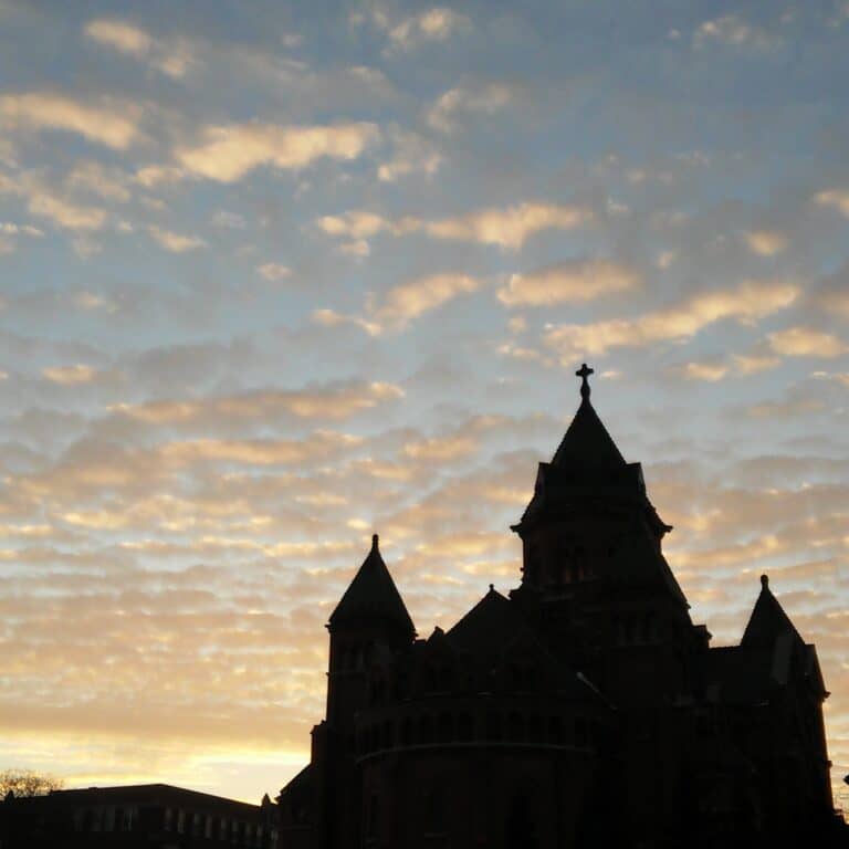 Expressions of love, totally ignored