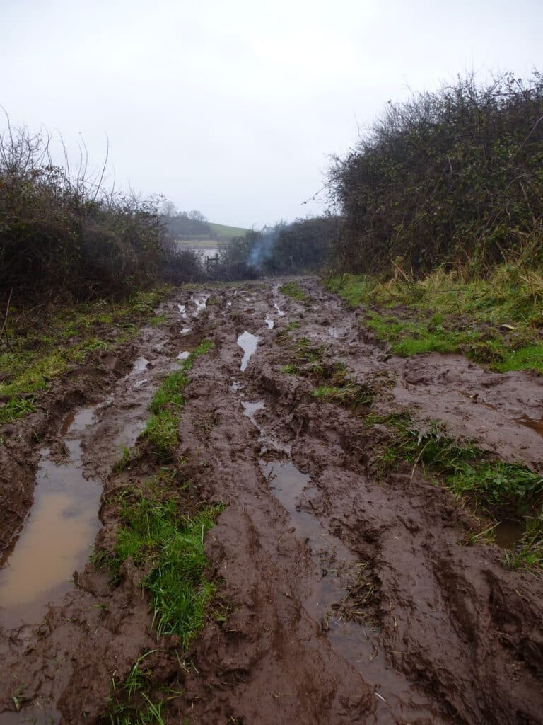 Mud, muck, and the courage of change