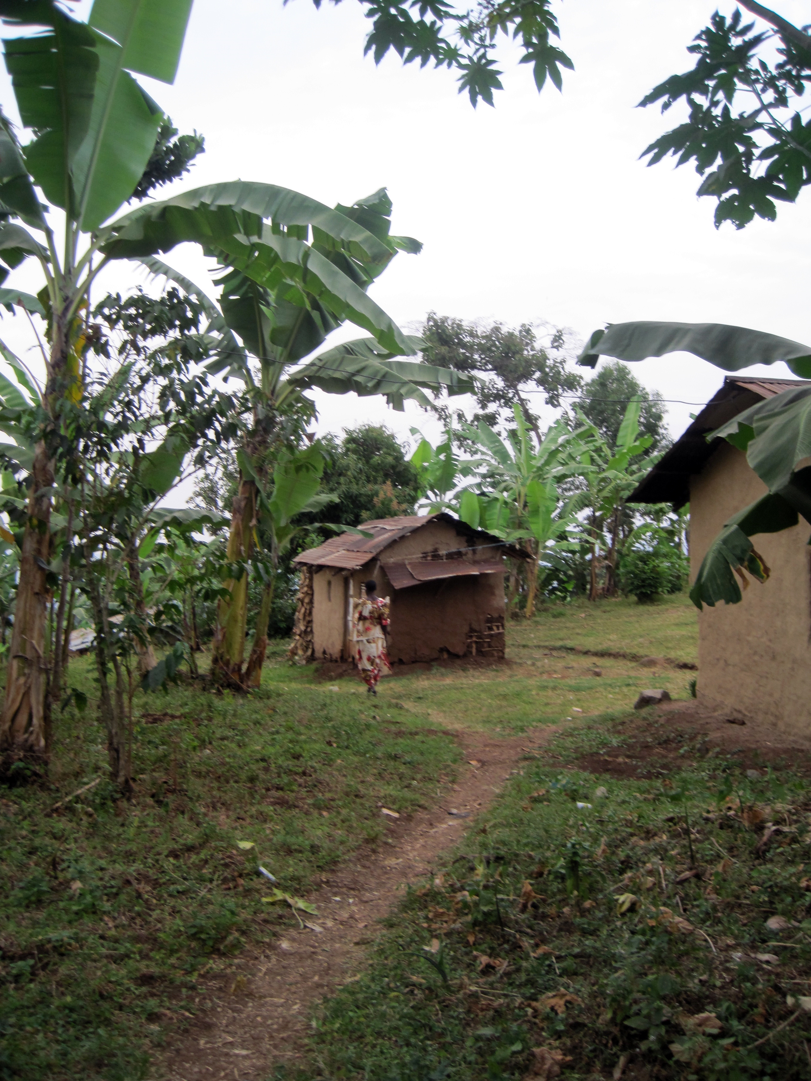Bufamba (Ugandan host family father's home village), courtesy of Nicole Steele Wooldridge