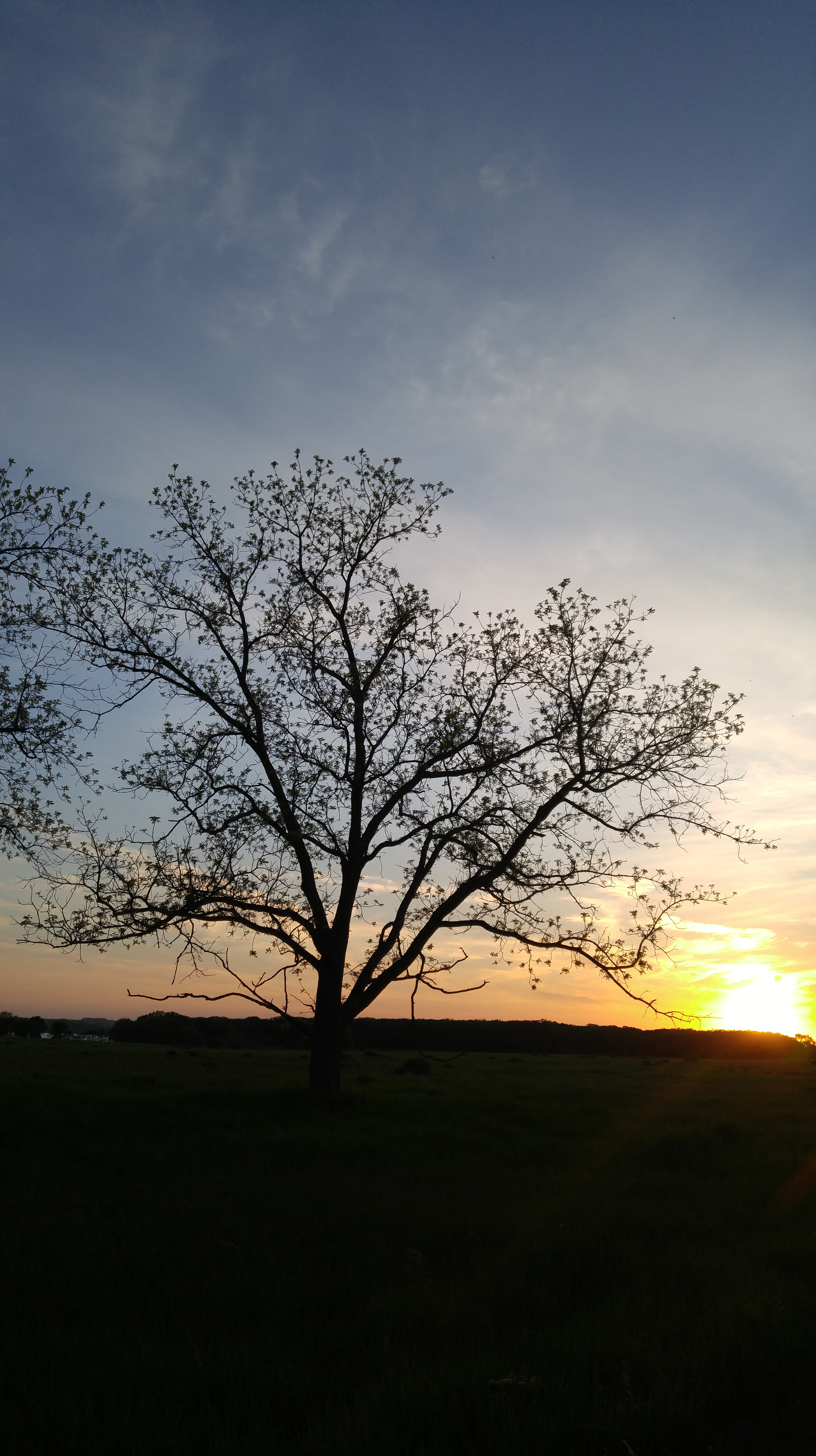 "illumination" photo by Julia Walsh, FSPA