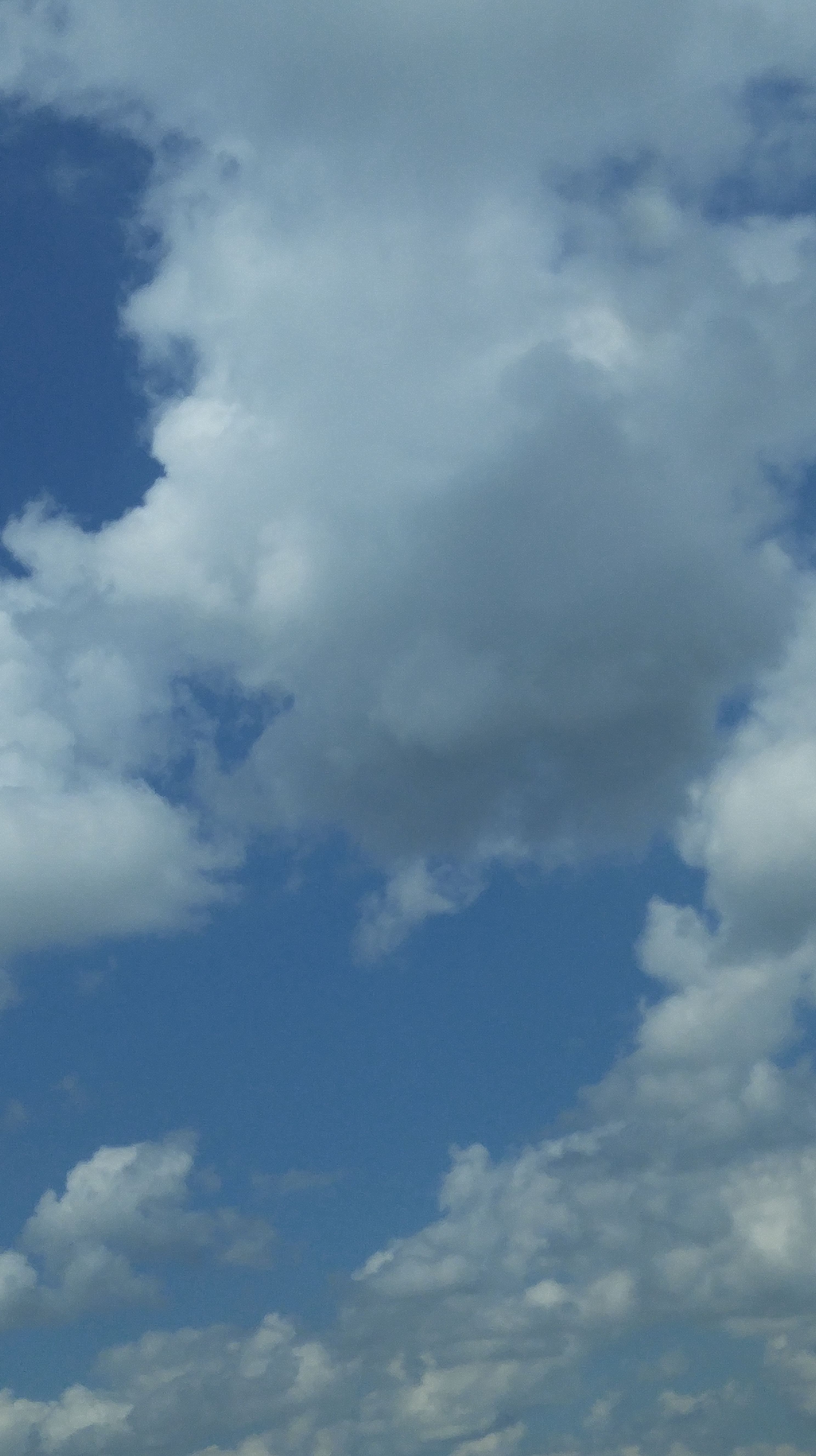 "heart in the sky" photo by Julia Walsh FSPA