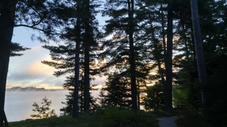 Peace shouldn’t be a privilege