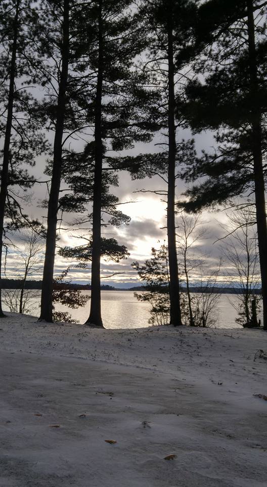 Thanksgiving in the midst of this mess