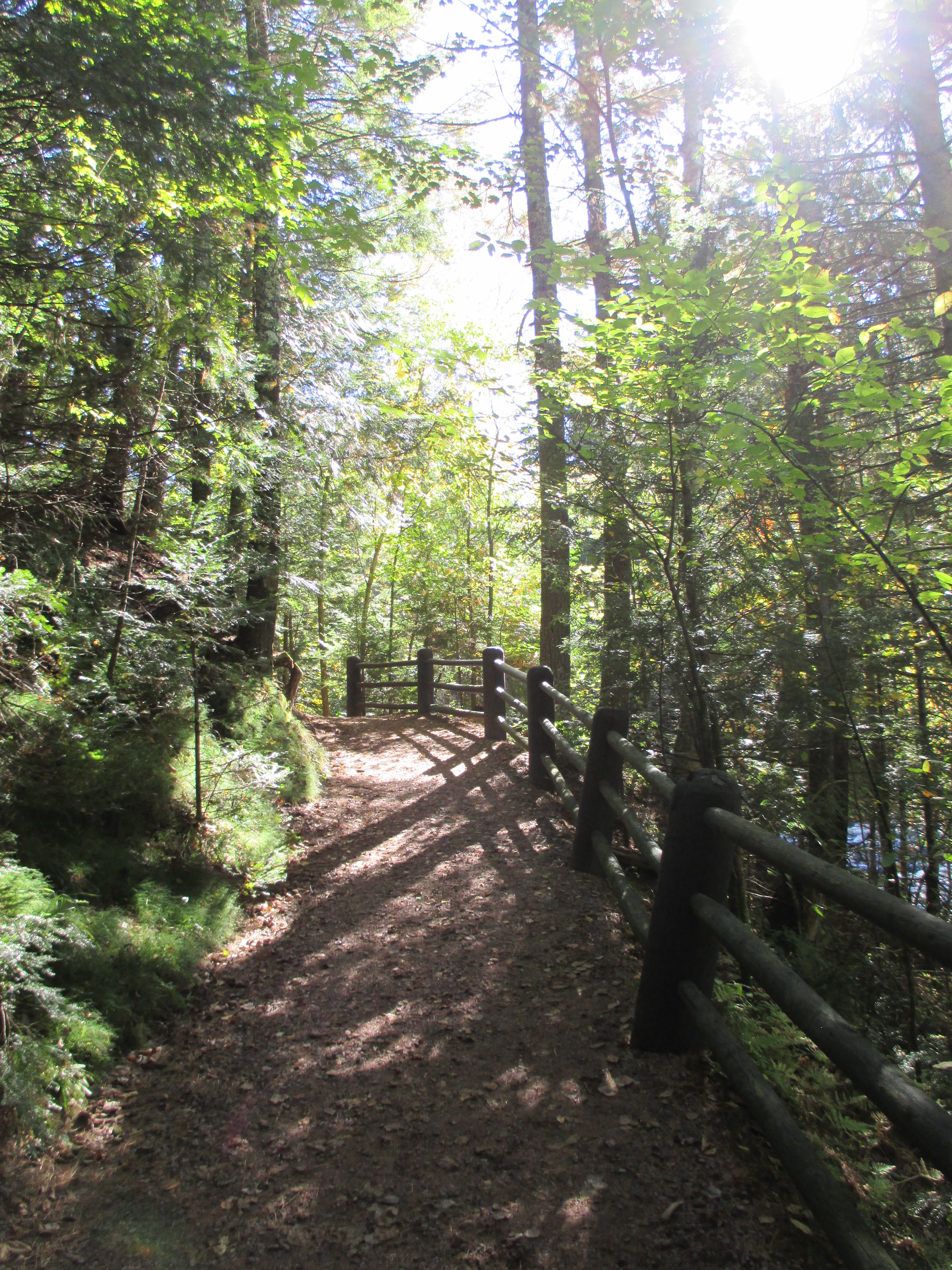 "In Wisconsin's Northwoods" photo by Julia Walsh FSPA