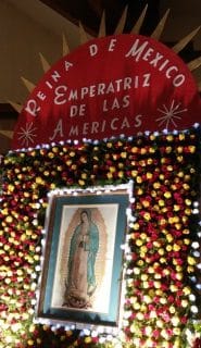 guadalupe-steven-cottam