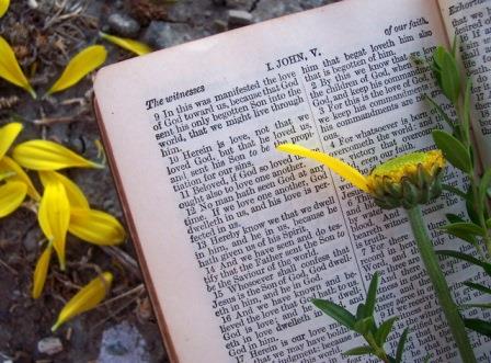 Bible-flower-petals