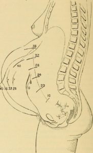 How Do Words Become Flesh?