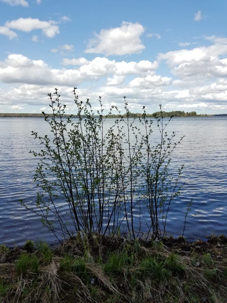 The peace we’ve been given