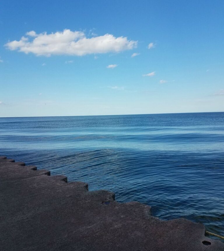 We are endangered species, but Franciscan values could save us