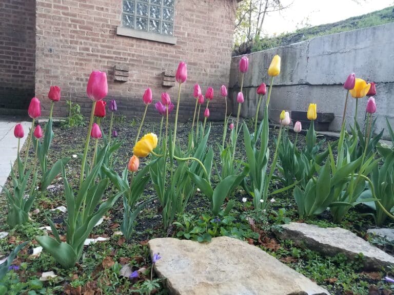 Hope and heartache on this side of the grave