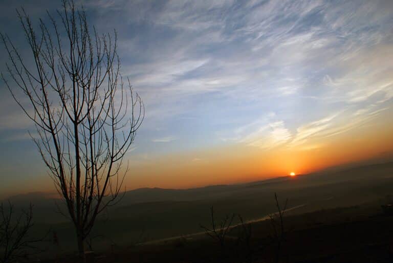 The reality of the messy Nativity