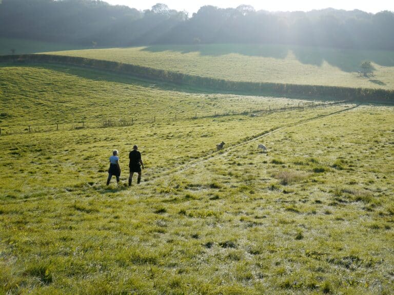 Spiritual Accompaniment that Surprises