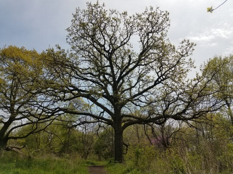 The struggle with loving