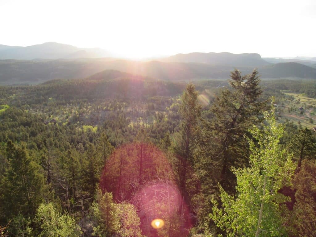 sunny sky view of trees and mountains
