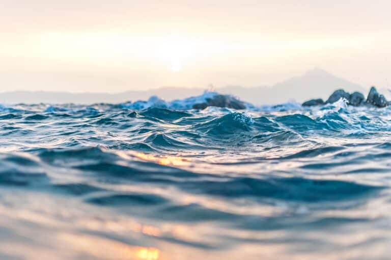 Brother Matt Wooters: Swimming in the Ocean of God