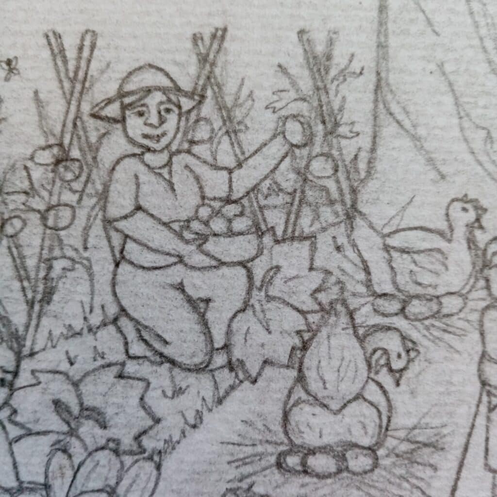 pencil sketch of woman in field by Annemarie Barrett at AEB Art