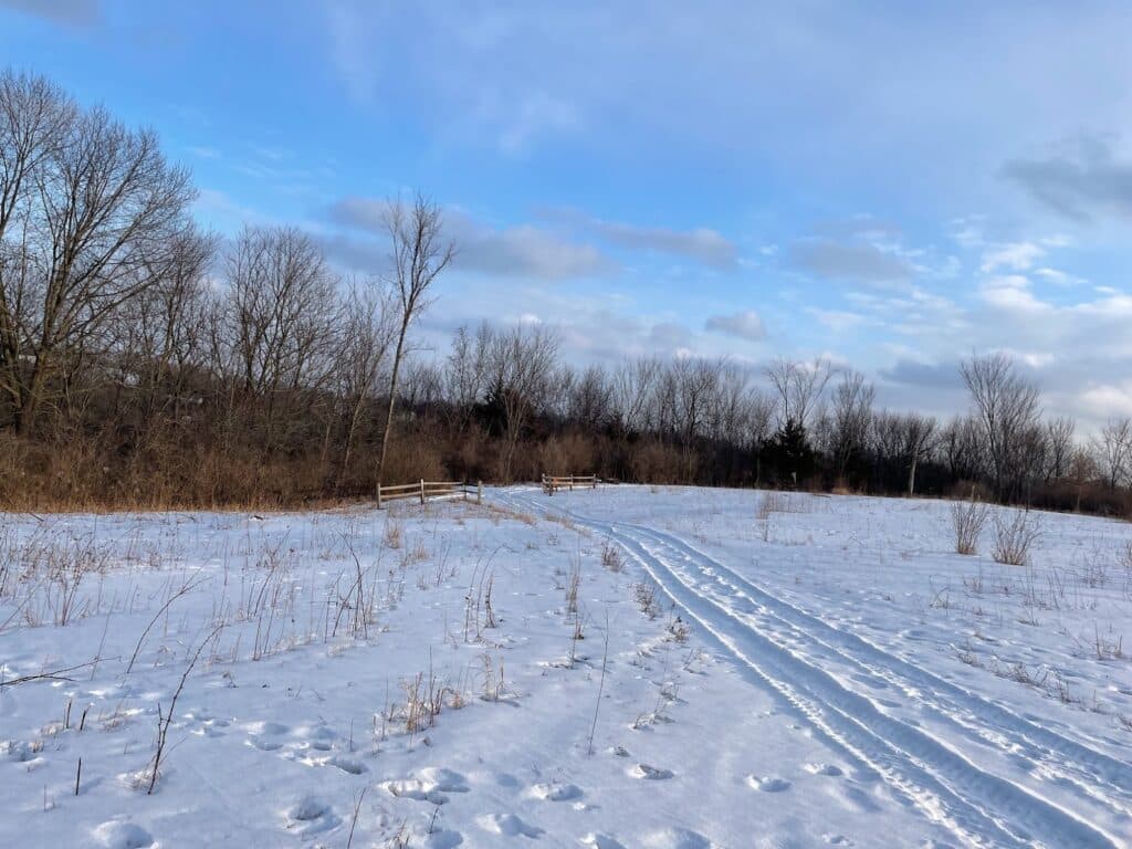 snowy winter field with trees and fence