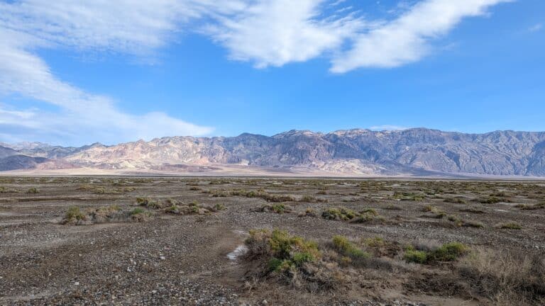 Lenten Contemplation: Transformed in the Desert