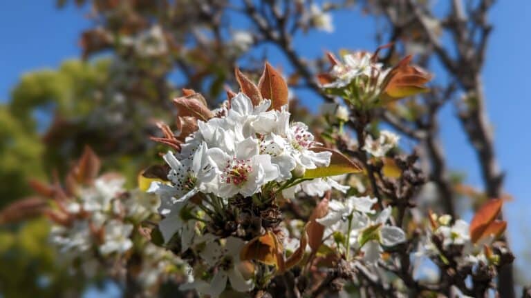 Easter Contemplation: Setting Us Free