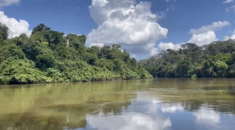 Ellie Hidalgo: Listening to Learn