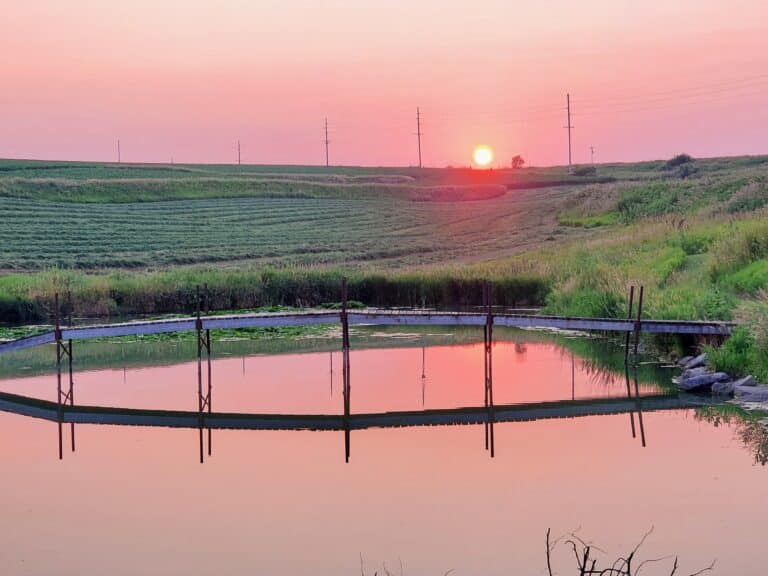 Politics, Prophets, and Family