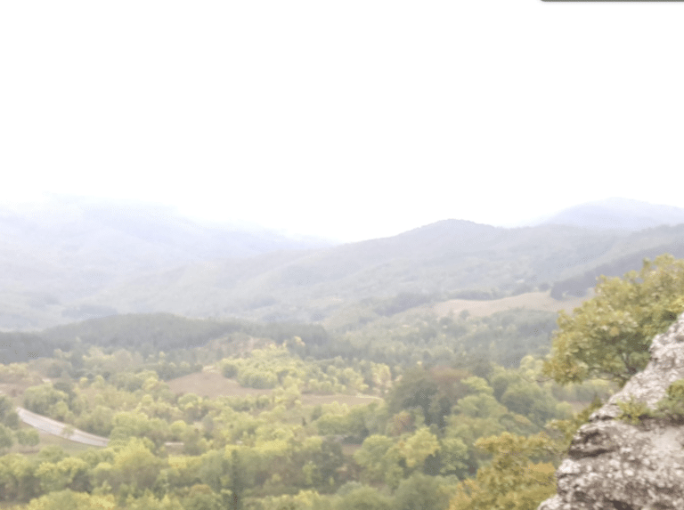 Living the Stigmata Today