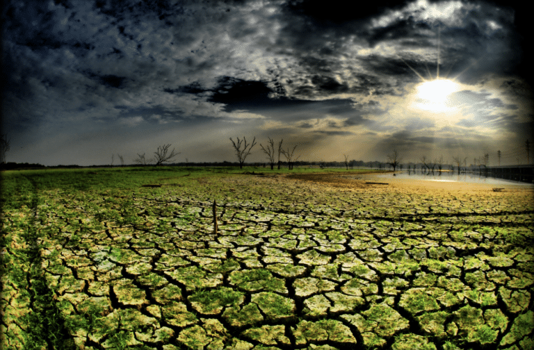 In Praise of Disenchantment