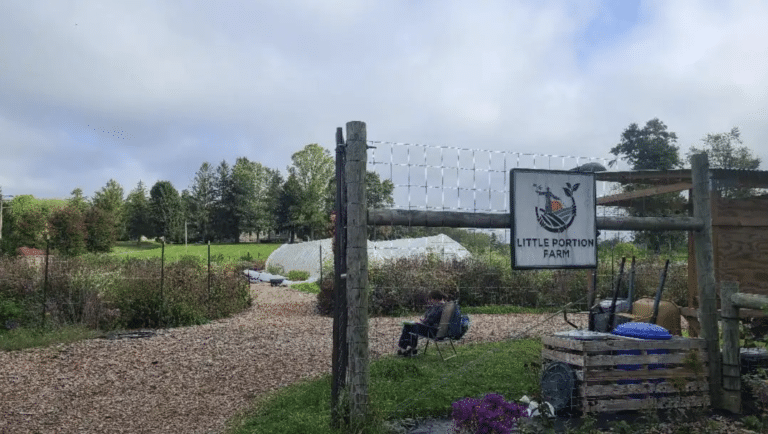 Kelly Moltzen: Communion and Interconnection