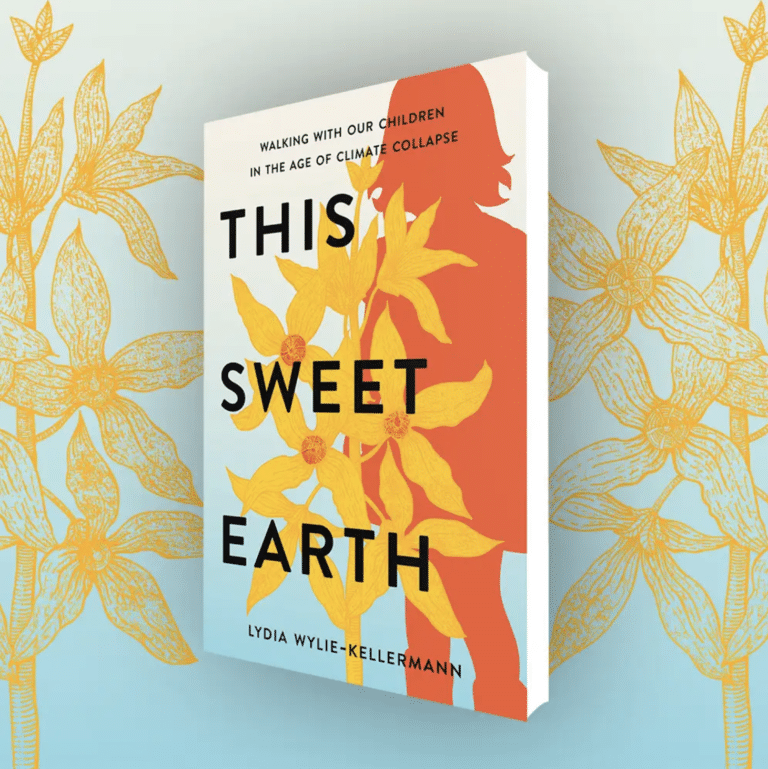 Lydia Wylie-Kellermann: Embodiment and Environment