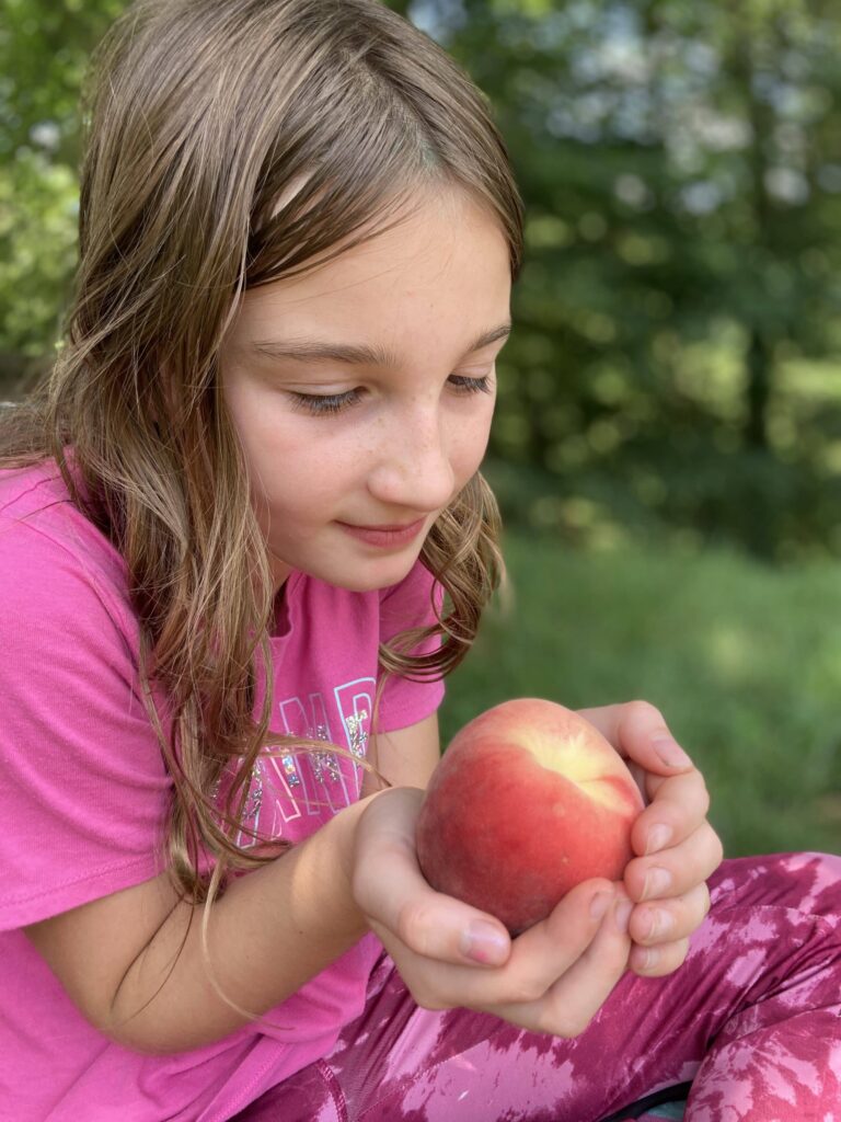 A girl holding and admiring a fresh peach.
