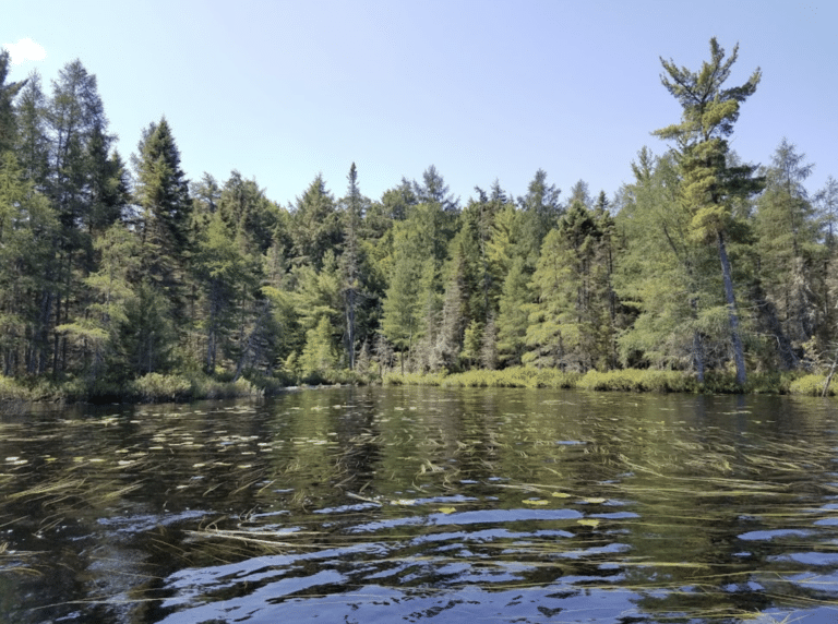 Floating with the Currents of Christ